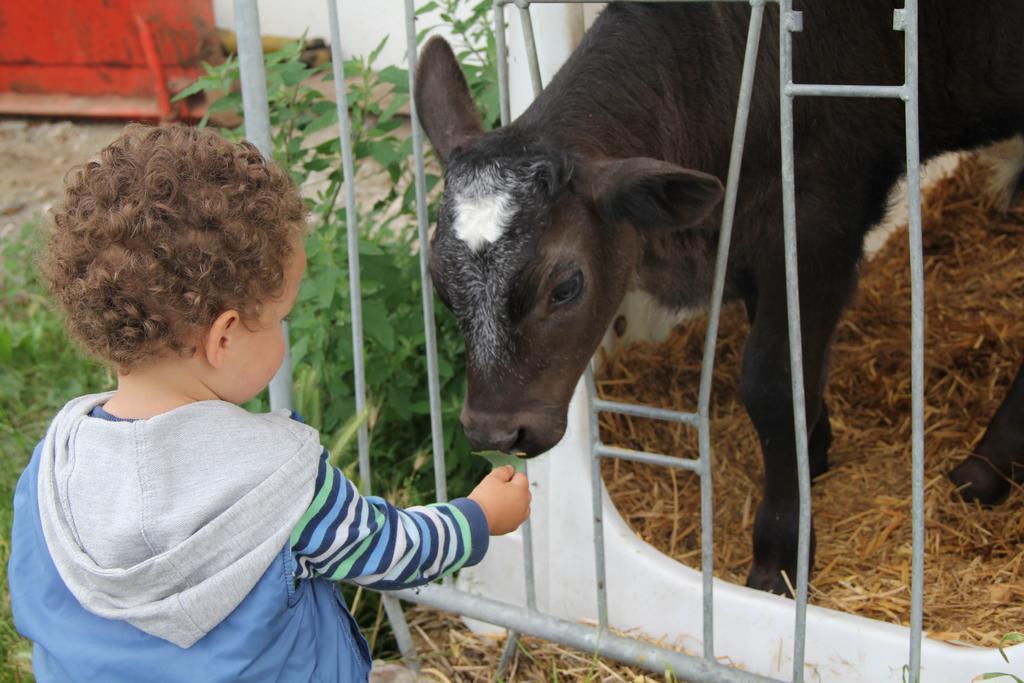 קיוזה Spisserhof מראה חיצוני תמונה